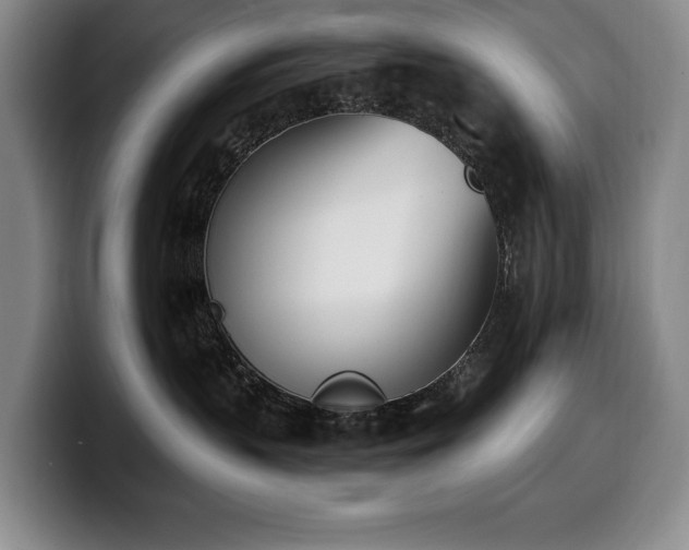 X0000100320383200806051522