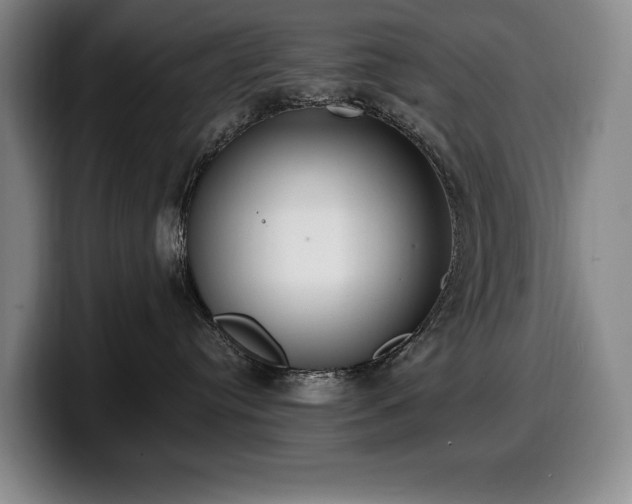 X0000100320384200806051522