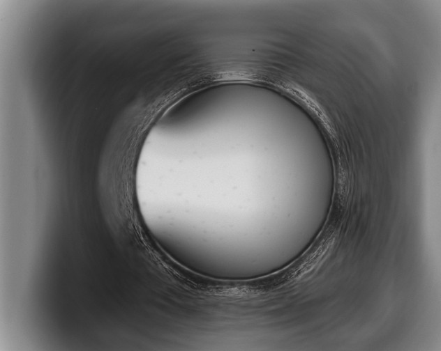 X0000100320385200806051521