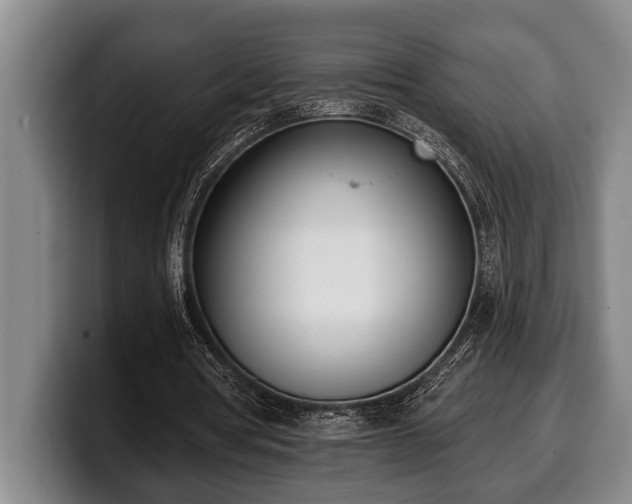 X0000100320386200806051521