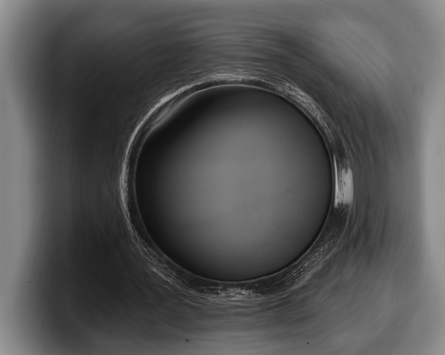 X0000100320387200806051521