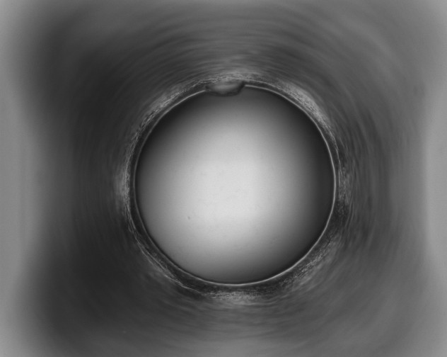 X0000100320389200806051521