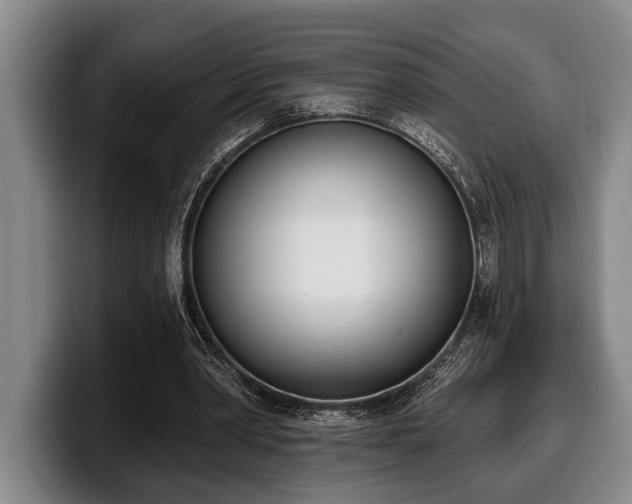 X0000100320390200806051521