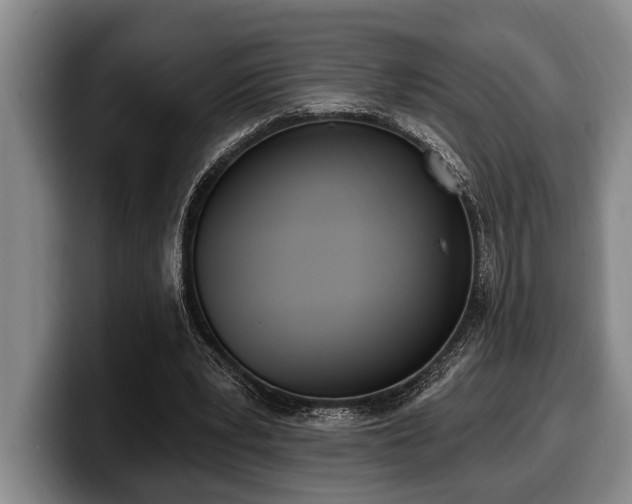 X0000100320391200806051521