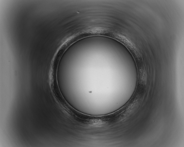 X0000100320392200806051521