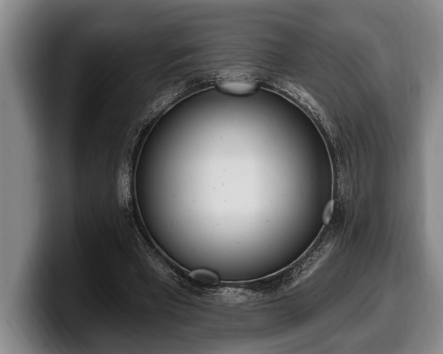 X0000100320393200806051521