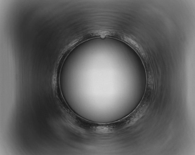 X0000100320394200806051521