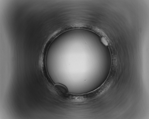 X0000100320395200806051521