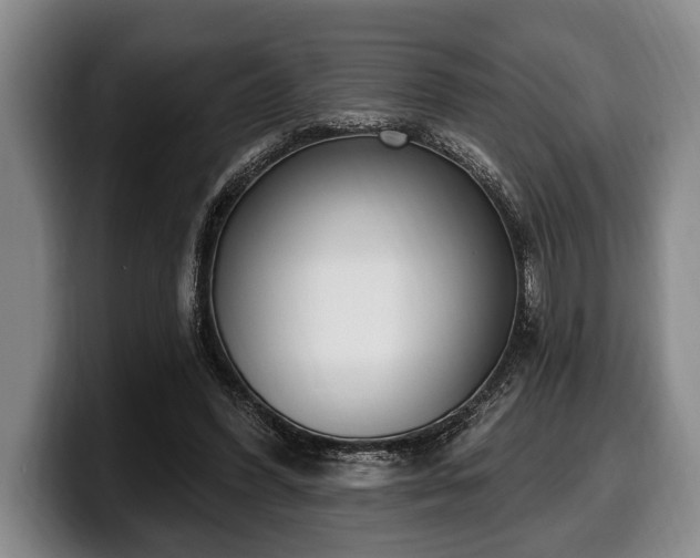 X0000100320396200806051521