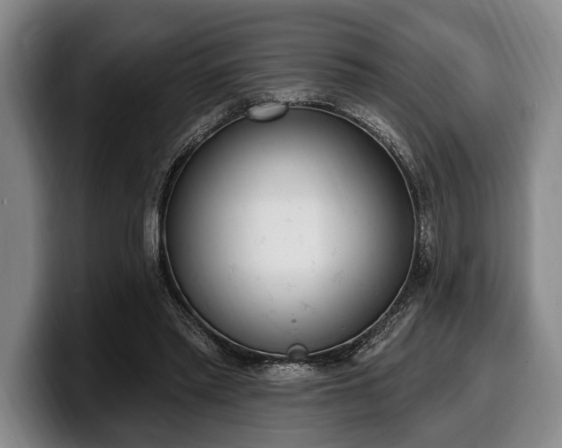 X0000100320397200806051521