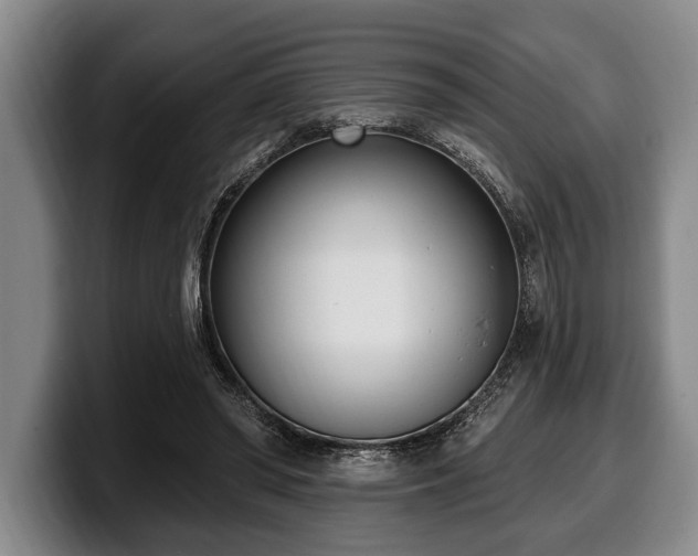 X0000100320398200806051521