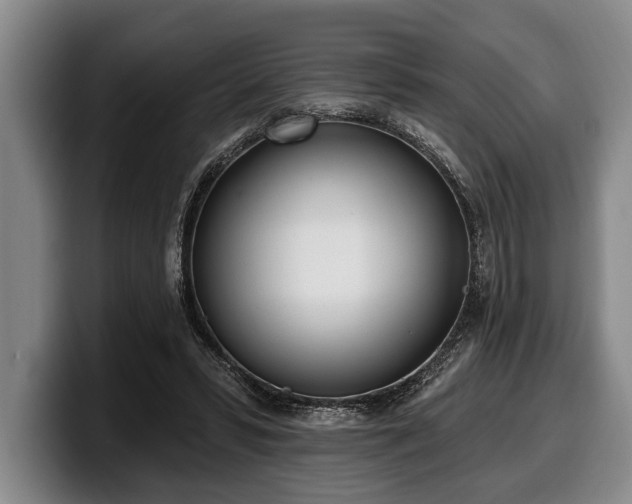 X0000100320399200806051521