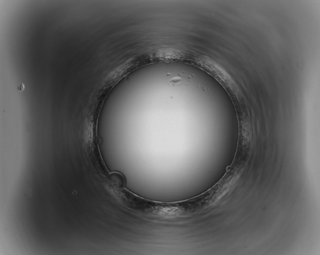 X0000100320401200806051521