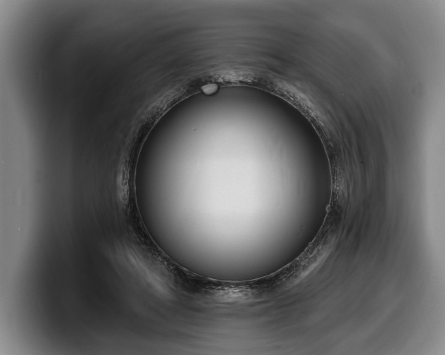 X0000100320402200806051521