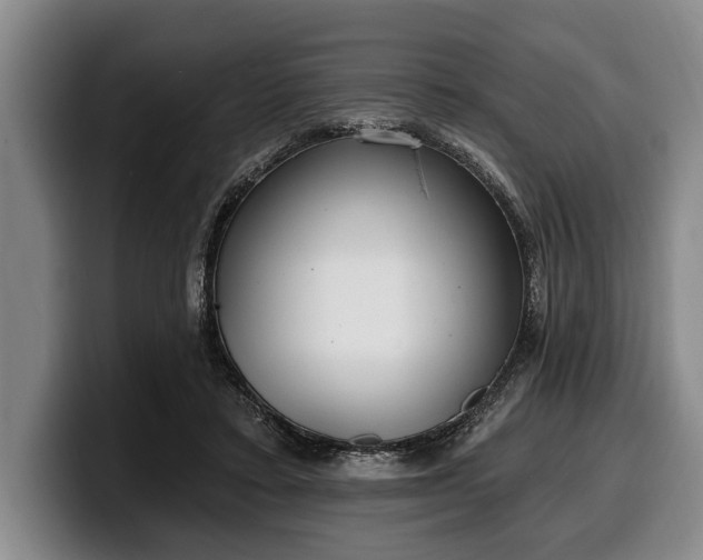 X0000100320403200806051521