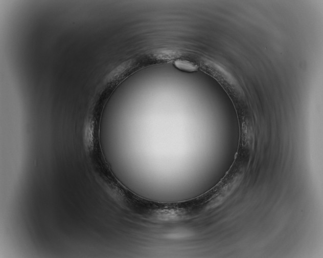 X0000100320404200806051521