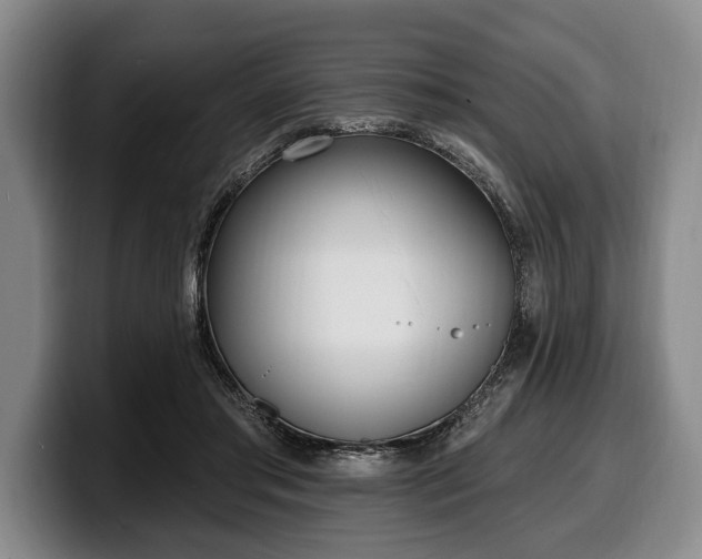 X0000100320405200806051521