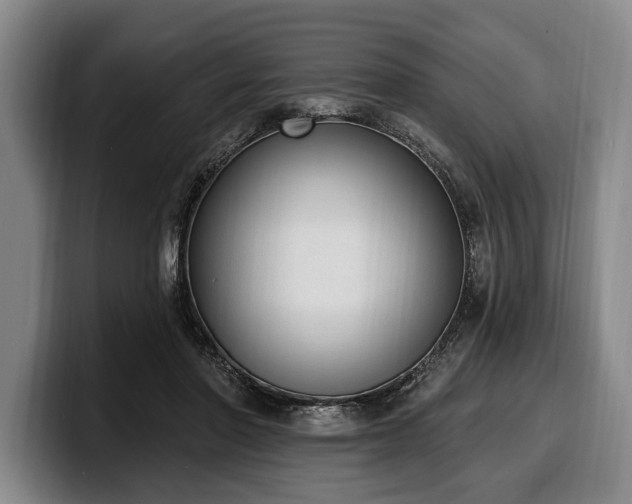 X0000100320406200806051521