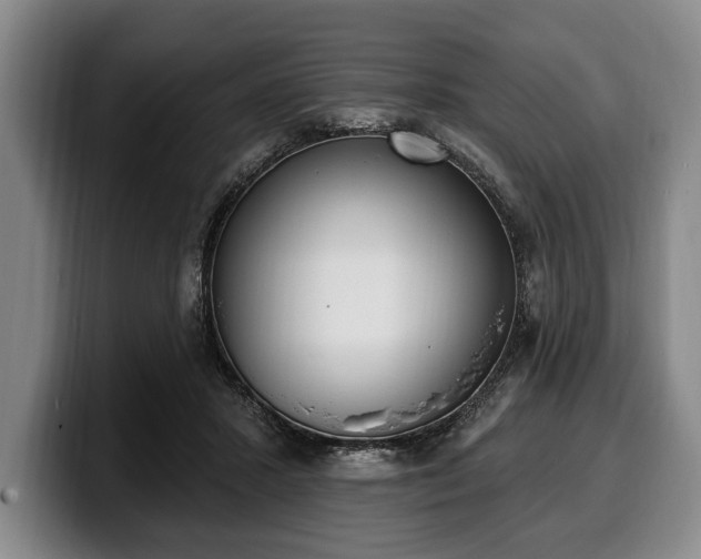 X0000100320407200806051521