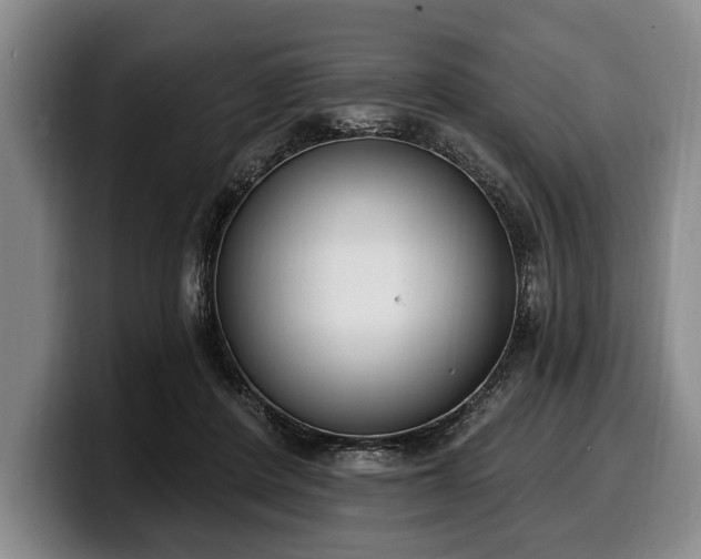 X0000100320408200806051521