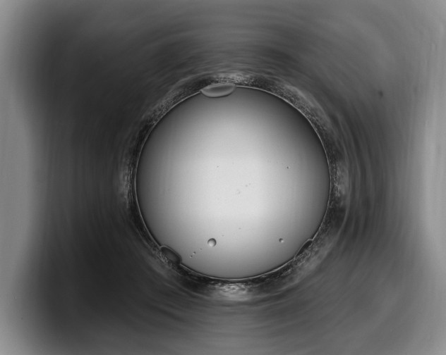 X0000100320409200806051521