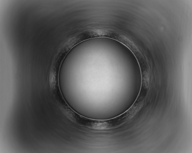 X0000100320410200806051521