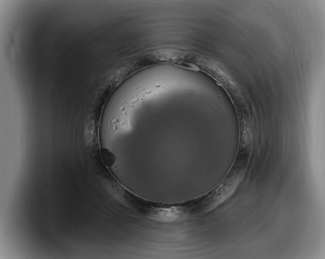 X0000100320411200806051521