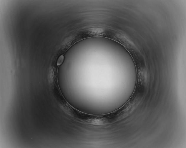 X0000100320412200806051521