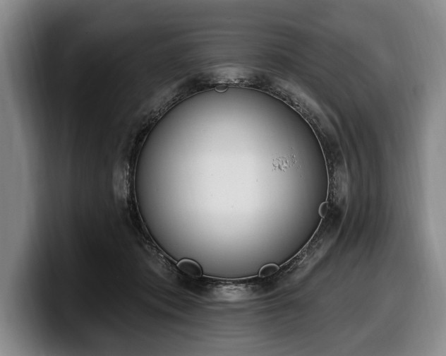 X0000100320413200806051521