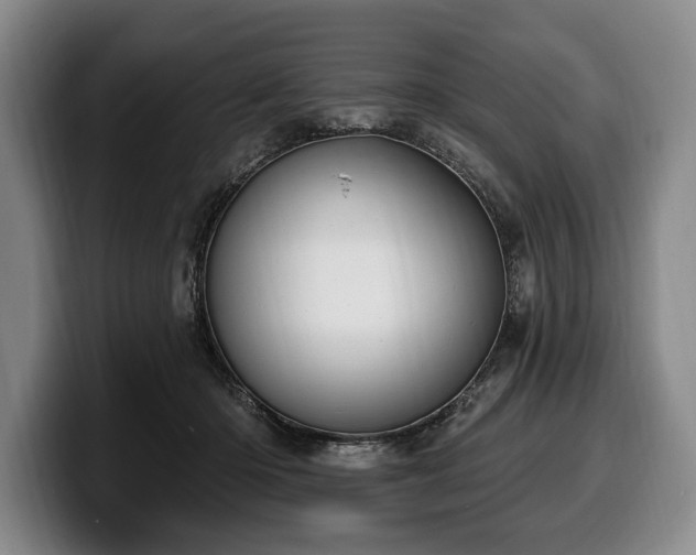 X0000100320414200806051521