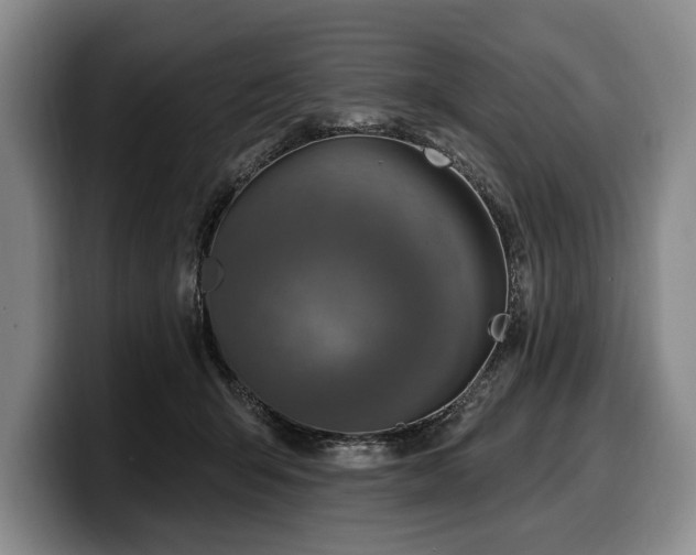 X0000100320415200806051521