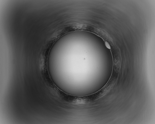 X0000100320416200806051521