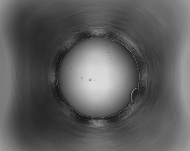 X0000100320417200806051521