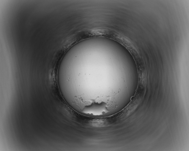 X0000100320418200806051521