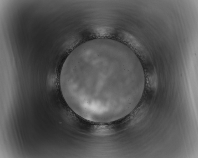 X0000100320419200806051521