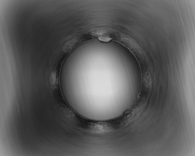 X0000100320420200806051521