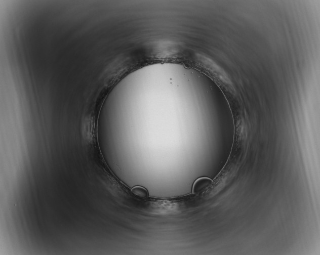 X0000100320421200806051521