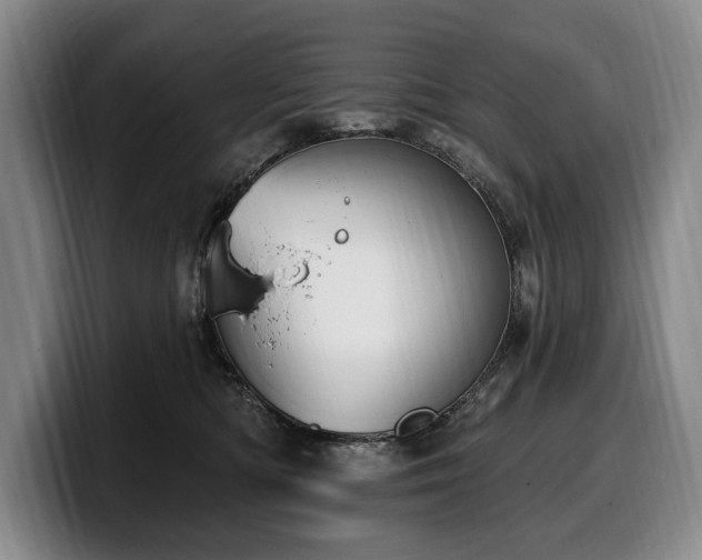 X0000100320422200806051521