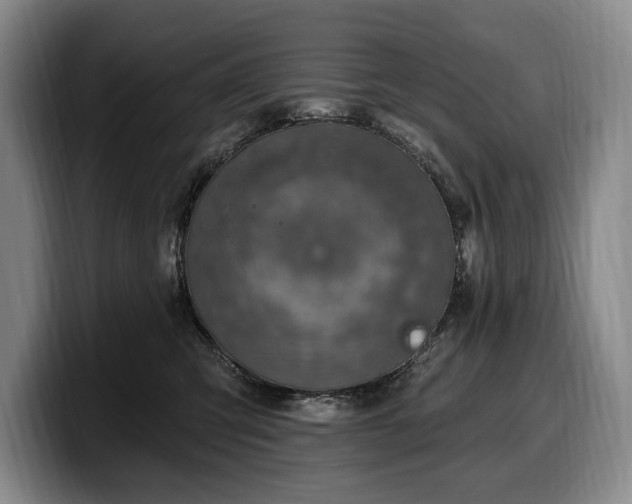 X0000100320423200806051521