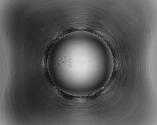 X0000100320424200806051521