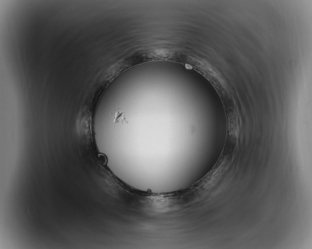 X0000100320425200806051521