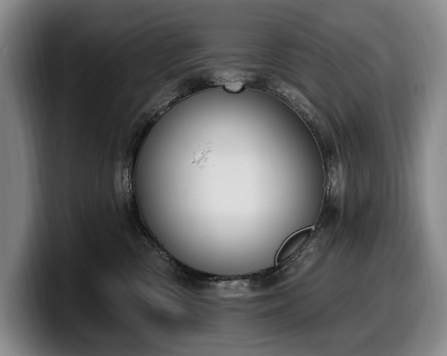 X0000100320426200806051521