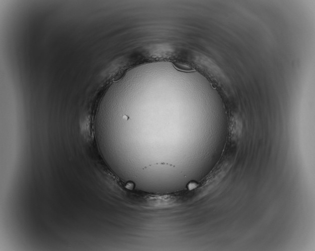 X0000100320428200806051521