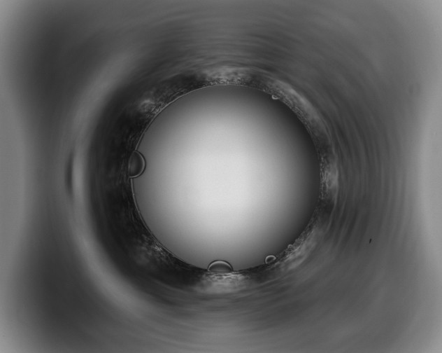 X0000100320429200806051521