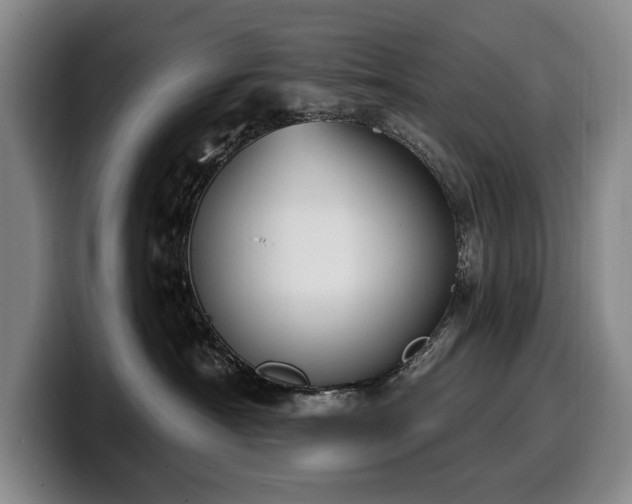 X0000100320430200806051521