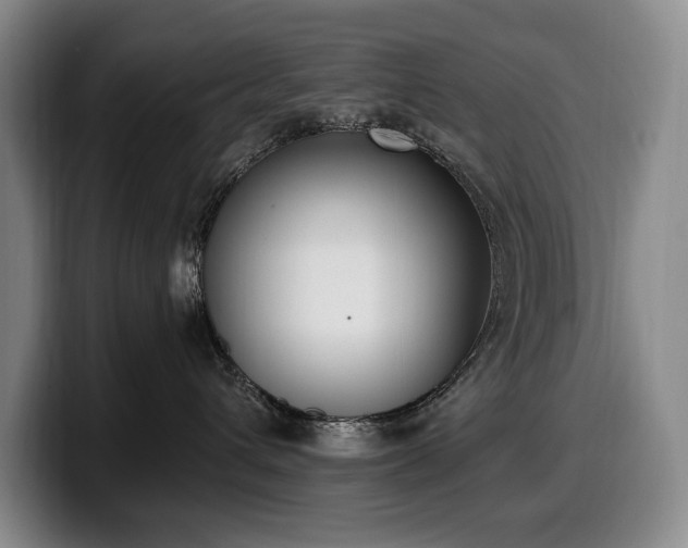 X0000100320432200806051521