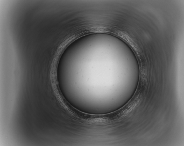 X0000100320433200806051520