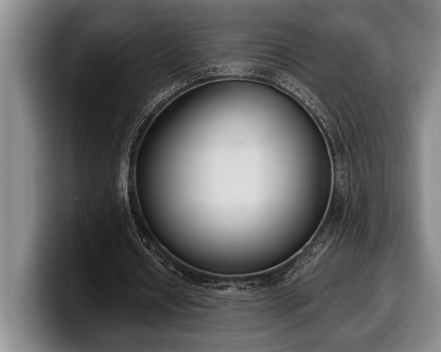 X0000100320434200806051520