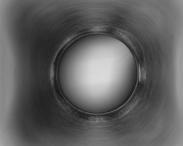 X0000100320435200806051520