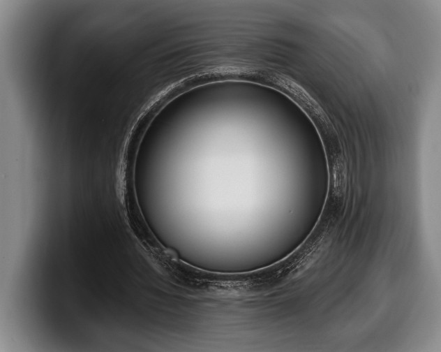 X0000100320436200806051520